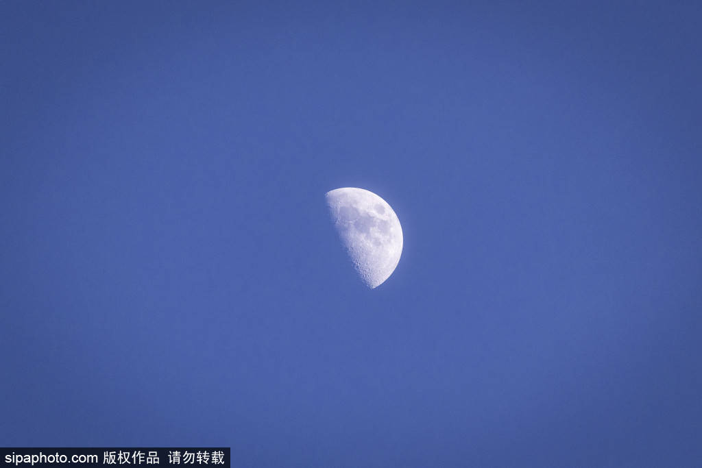 生死边缘的决战!皇家马略卡主场迎战比利亚雷亚尔:保级与欧冠的碰撞
